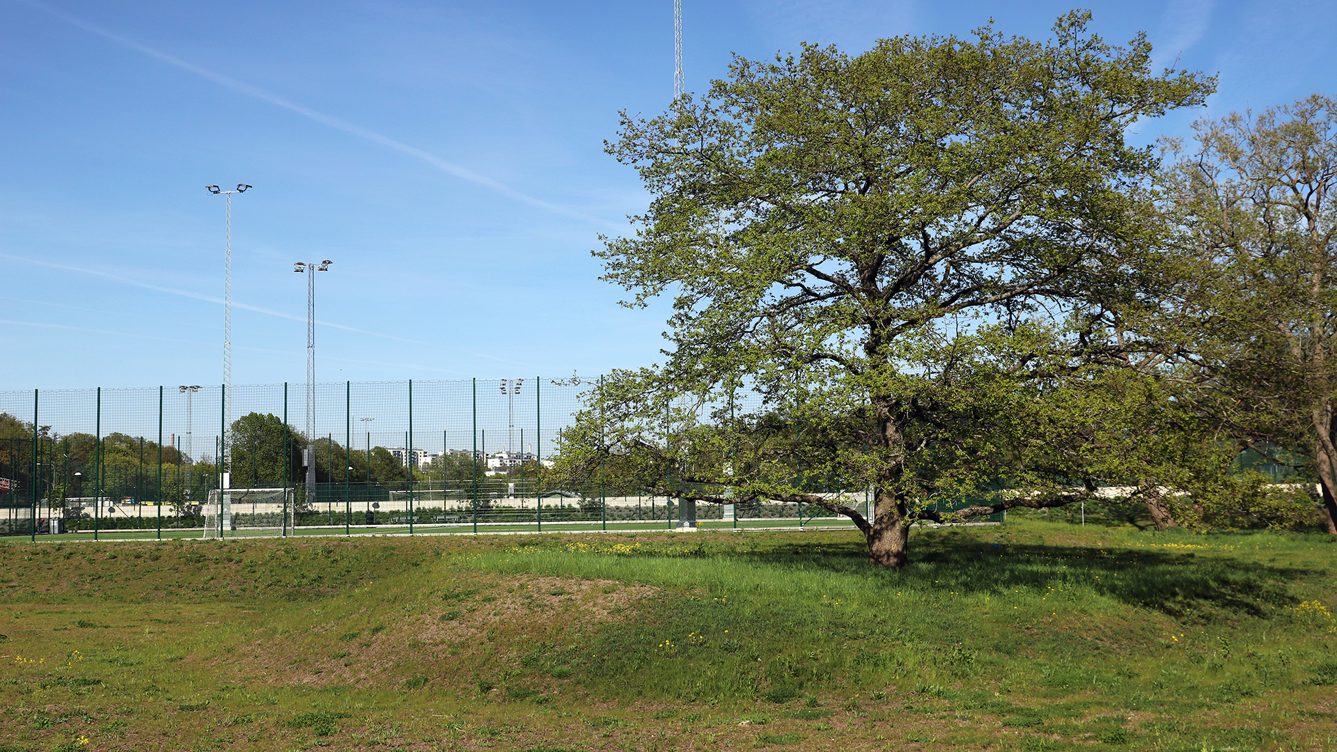 Sluttande gräsyta vid en av spelplanerna på Vårbergs idrottsplats, foto.